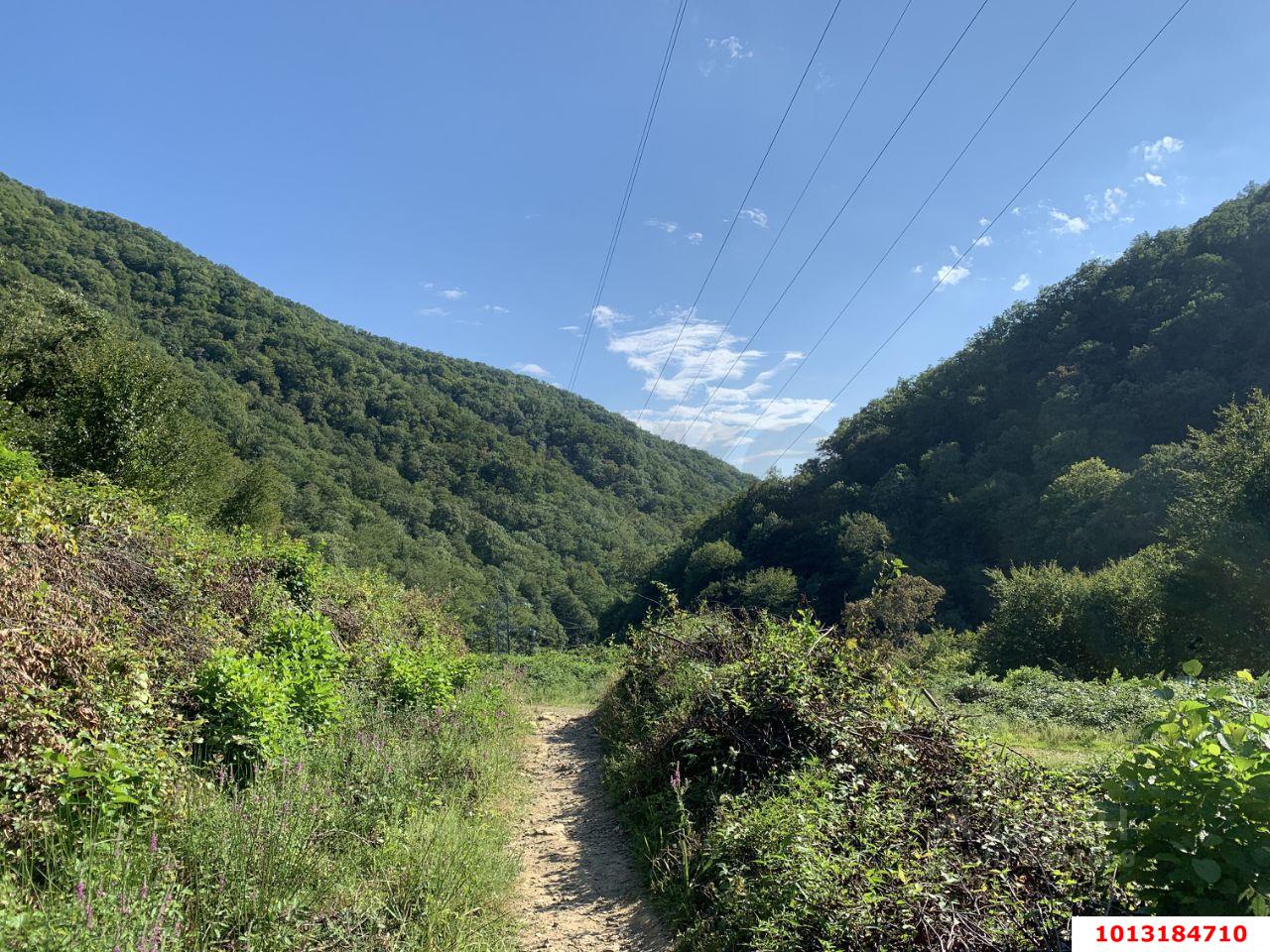 Фото №1: Земельный участок 4 сот. - Мамедова Щель, р. Лазаревский, ул. Ручейная