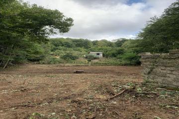 Фото №2: Земельный участок 4 сот. - Мамедова Щель, р. Лазаревский, ул. Ручейная