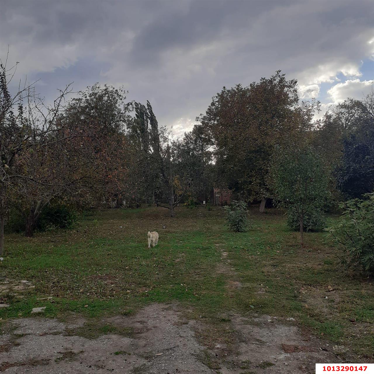 Фото №9: Дом 64 м² + 13.64 сот. - Динская, ул. Красная, 68