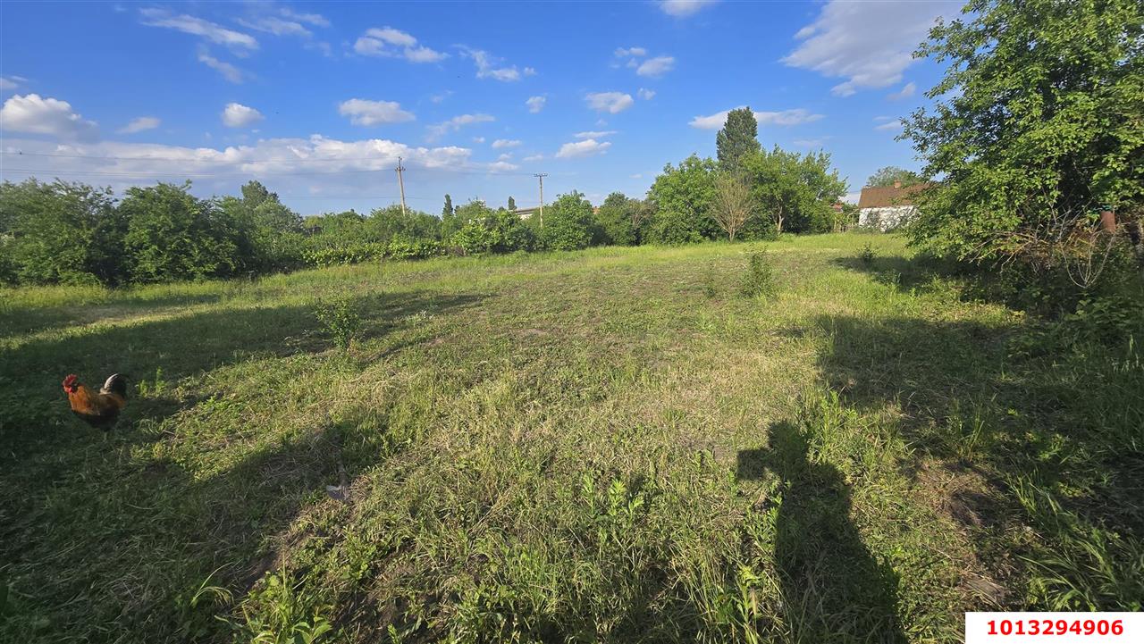 Фото №5: Земельный участок под ИЖС 9 сот. - Новый Сад, ул. Гагарина, 2