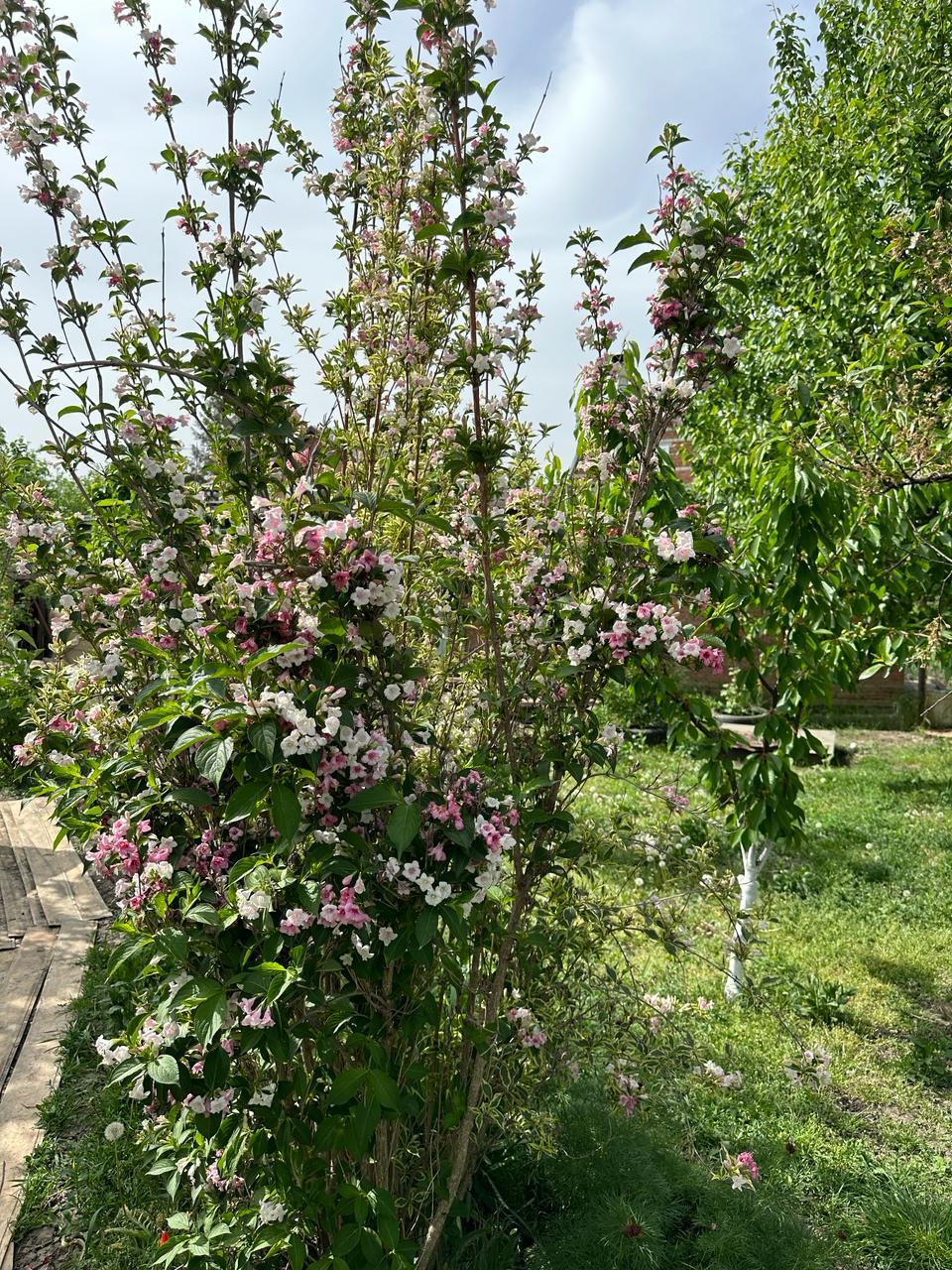 Фото №7: Дом 80 м² + 6.4 сот. - Елизаветинская, Прикубанский внутригородской округ, ст Роднички, ул. Малиновая, 13