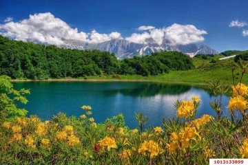 Фото №5: Участок садоводство 22000 сот. - Краснодарский край Северский район
