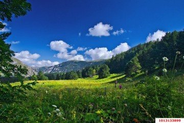 Фото №4: Участок садоводство 22000 сот. - Краснодарский край Северский район