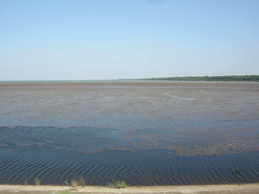 Фото №5: Коммерция 300 м² - Красный, ул. Адагумская, 1