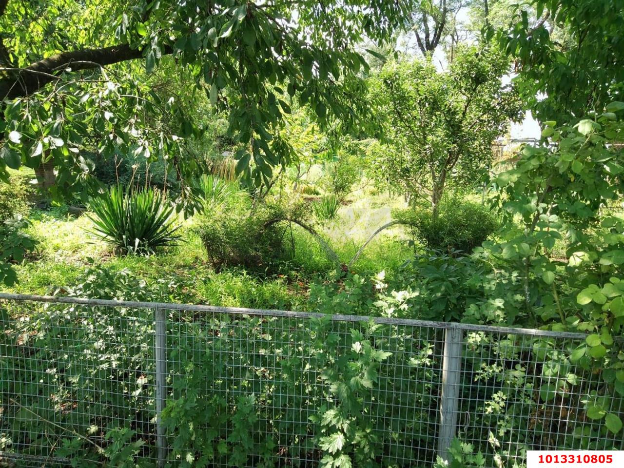 Фото №2: Земельный участок под ИЖС 41.1 сот. - Кубанское Яблоко, Прикубанский внутригородской округ