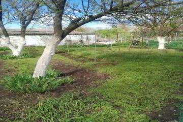 Фото №3: Земельный участок 41.1 сот. - Кубанское Яблоко, мкр. Прикубанский внутригородской округ, ул. Сиреневая