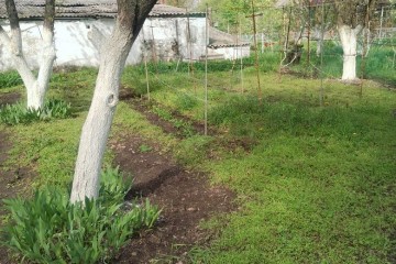 Фото №3: Земельный участок под ИЖС 41.1 сот. - Кубанское Яблоко, мкр. Прикубанский внутригородской округ, 