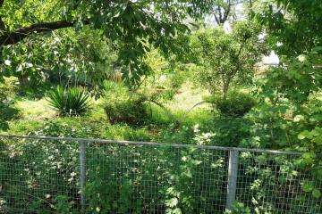 Фото №2: Земельный участок 41.1 сот. - Кубанское Яблоко, мкр. Прикубанский внутригородской округ, ул. Сиреневая