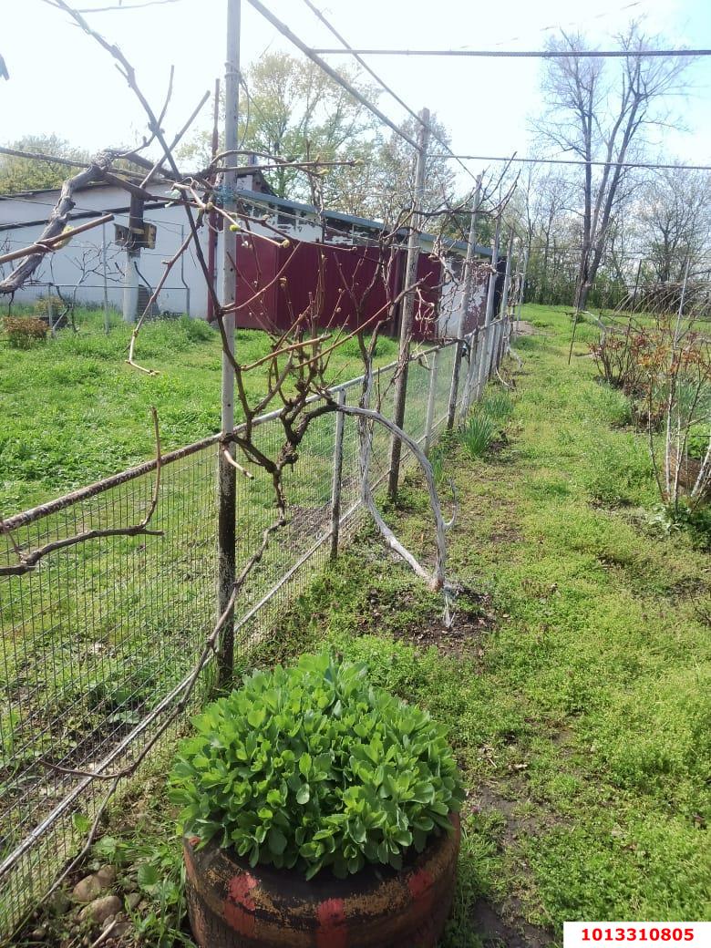 Фото №7: Земельный участок под ИЖС 41.1 сот. - Кубанское Яблоко, Прикубанский внутригородской округ