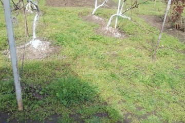 Фото №4: Земельный участок под ИЖС 41.1 сот. - Кубанское Яблоко, мкр. Прикубанский внутригородской округ, 