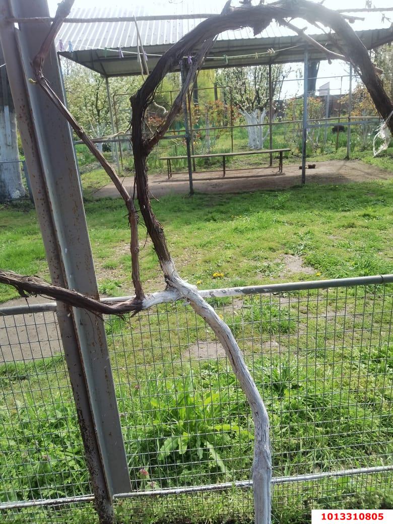 Фото №5: Земельный участок под ИЖС 41.1 сот. - Кубанское Яблоко, Прикубанский внутригородской округ