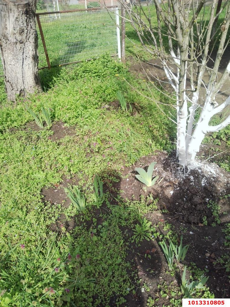 Фото №6: Земельный участок под ИЖС 41.1 сот. - Кубанское Яблоко, Прикубанский внутригородской округ