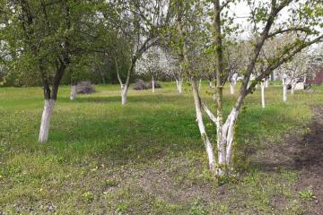 Фото №1: Земельный участок 41.1 сот. - Кубанское Яблоко, мкр. Прикубанский внутригородской округ, ул. Сиреневая