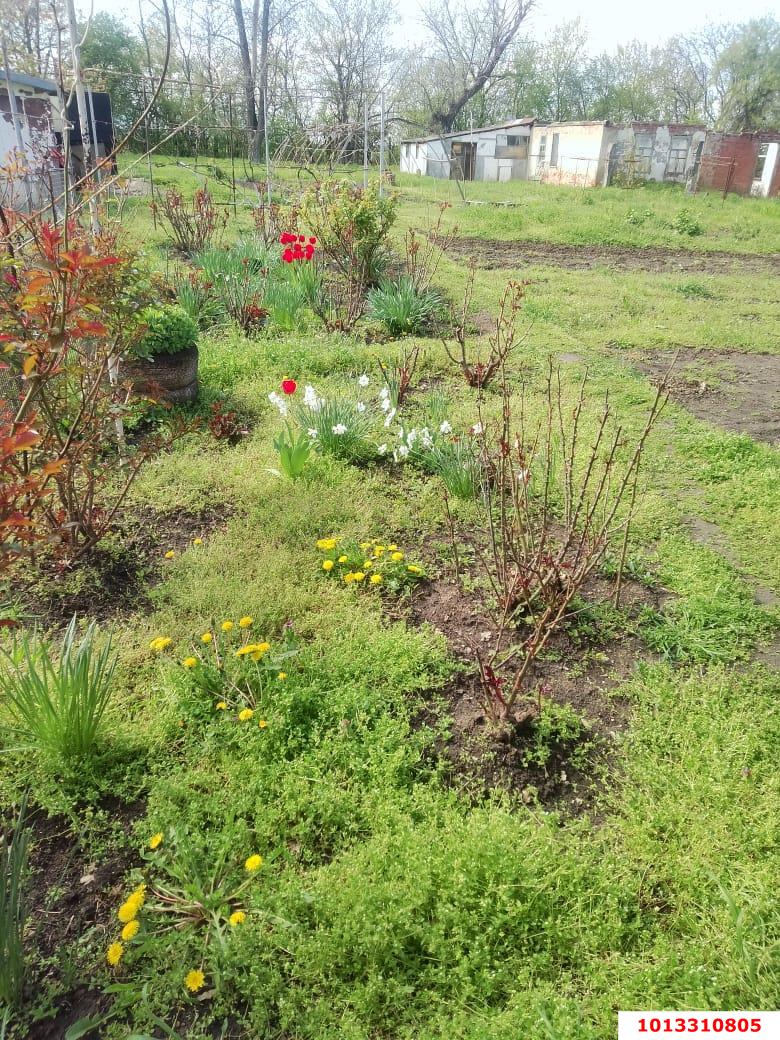 Фото №8: Земельный участок под ИЖС 41.1 сот. - Кубанское Яблоко, Прикубанский внутригородской округ