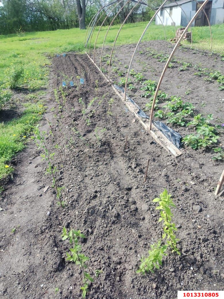 Фото №9: Земельный участок под ИЖС 41.1 сот. - Кубанское Яблоко, Прикубанский внутригородской округ