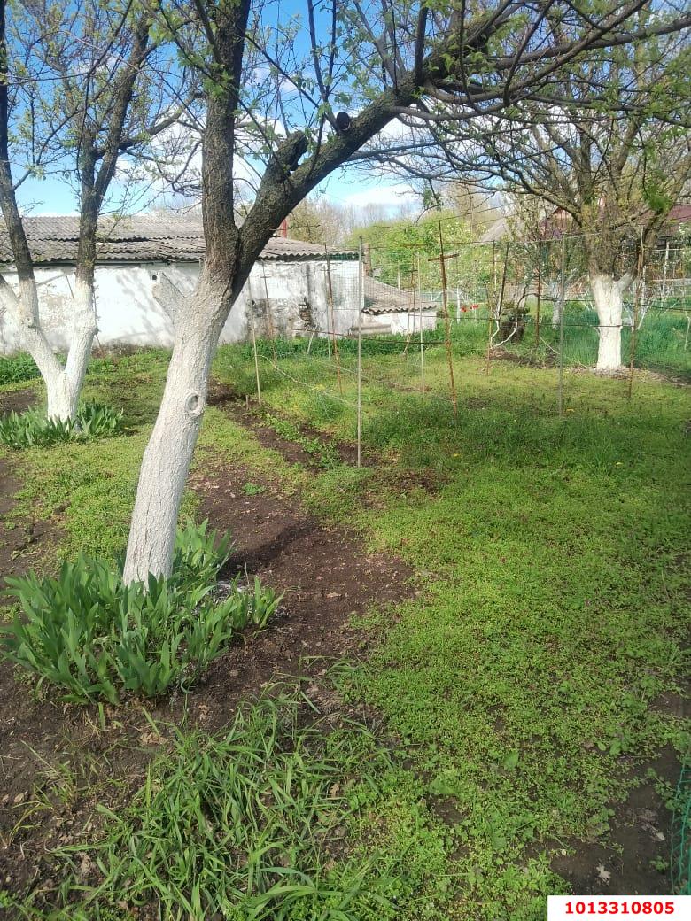 Фото №3: Земельный участок под ИЖС 41.1 сот. - Кубанское Яблоко, Прикубанский внутригородской округ