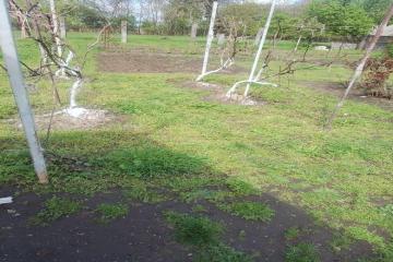 Фото №4: Земельный участок 41.1 сот. - Кубанское Яблоко, мкр. Прикубанский внутригородской округ, ул. Сиреневая