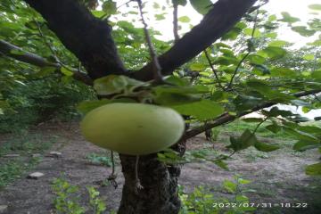 Фото №5: Дом 61 м² - Нижнекугоейский, ул. Молодёжная, 2