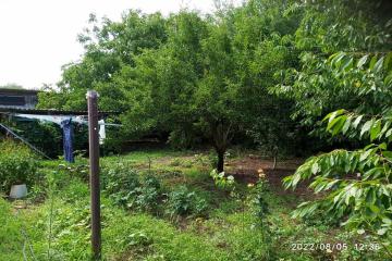 Фото №4: Дом 61 м² - Нижнекугоейский, ул. Молодёжная, 2