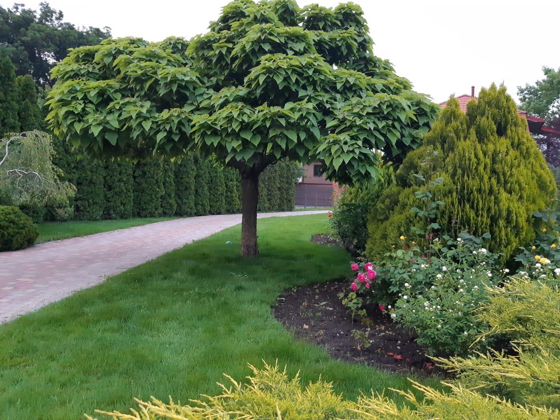 Фото №5: Дом 419 м² + 27.42 сот. - Южный, ул. Краснодарская, 41