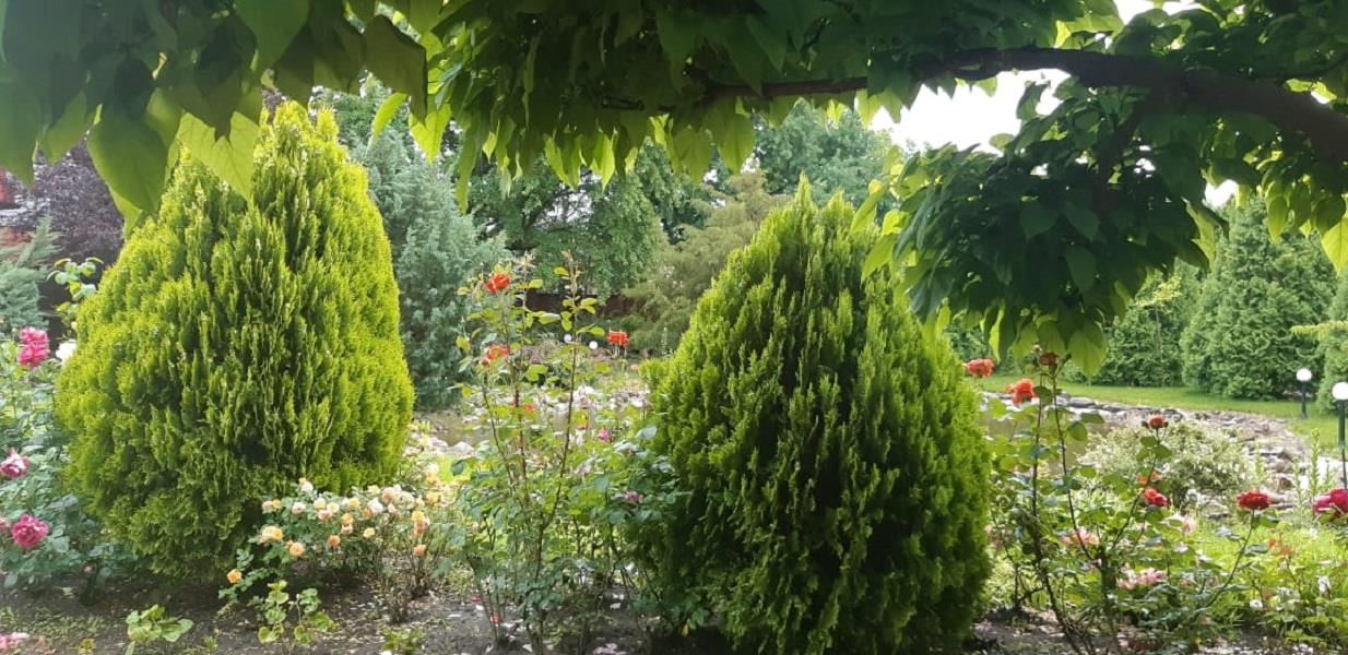 Фото №16: Дом 419 м² + 27.42 сот. - Южный, ул. Краснодарская, 41