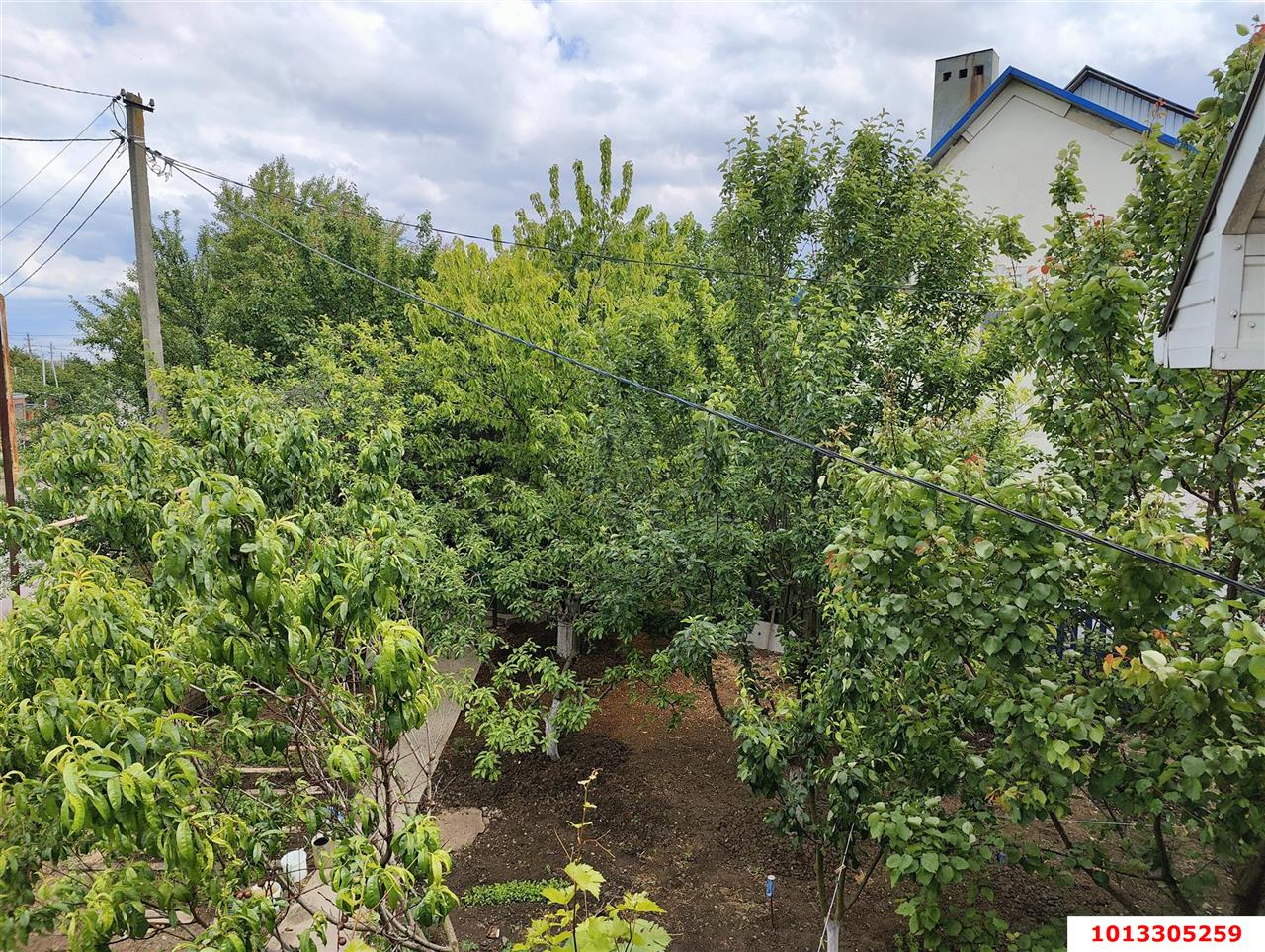 Фото №13: Дом 86 м² + 3.22 сот. - Тимашевск, Южный, ул. Крестьянская, 2А