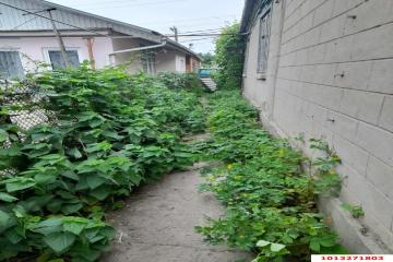 Фото №3: Дом 54 м² - Краснодар, мкр. Карасунский внутригородской округ, ул. Максима Горького, 90