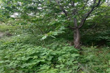 Фото №2: Дом 54 м² - Краснодар, мкр. Карасунский внутригородской округ, ул. Максима Горького, 90