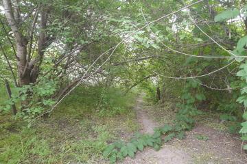 Фото №1: Дом 54 м² - Краснодар, мкр. Карасунский внутригородской округ, ул. Максима Горького, 90