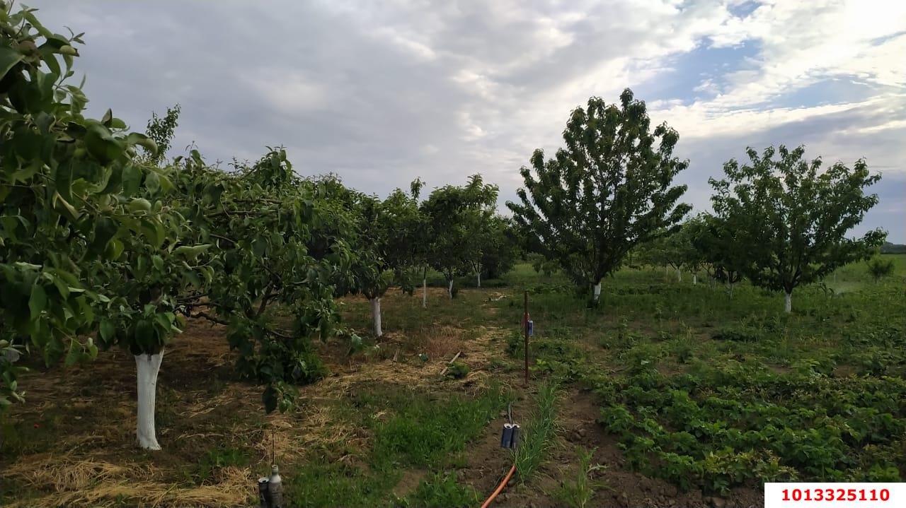 Фото №8: Дом 200 м² + 30 сот. - Чебургольская, ул. Южная, 27