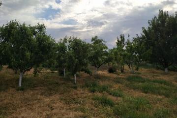 Фото №3: Дом 200 м² - Чебургольская, ул. Южная, 27