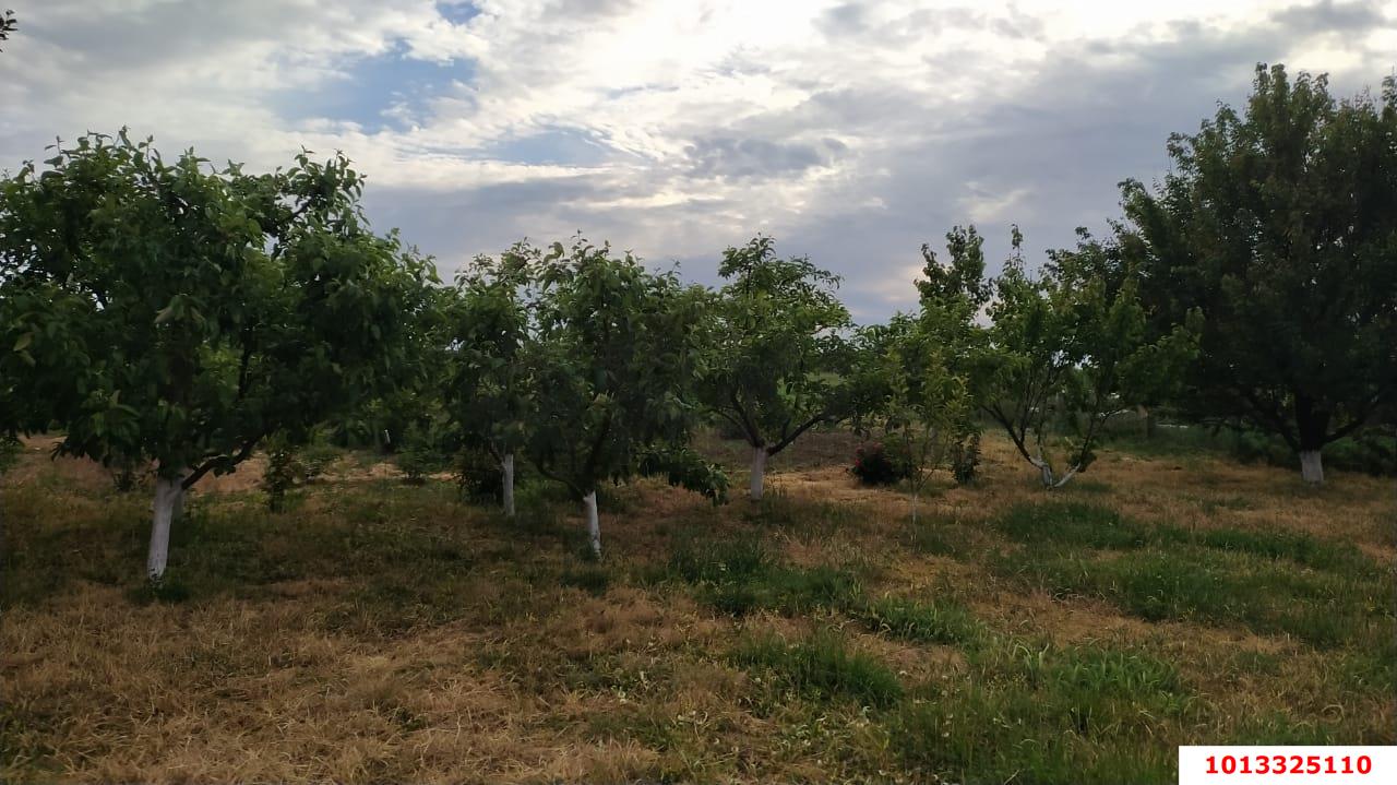 Фото №3: Дом 200 м² + 30 сот. - Чебургольская, ул. Южная, 27