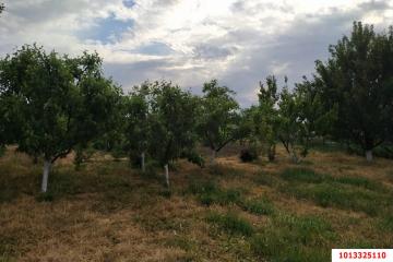 Фото №3: Дом 200 м² - Чебургольская, ул. Южная, 27