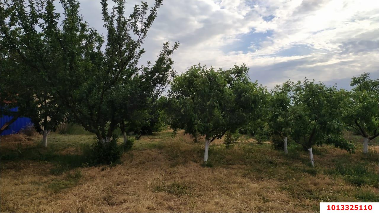 Фото №9: Дом 200 м² + 30 сот. - Чебургольская, ул. Южная, 27