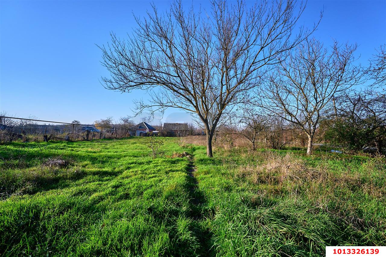 Фото №13: Земельный участок под ИЖС 20 сот. - Новый Сад, ул. Гагарина, 2