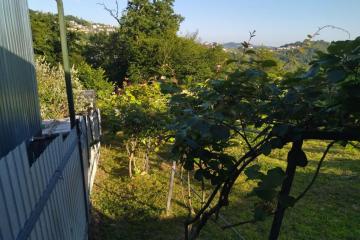 Фото №3: Земельный участок под ИЖС - Бестужевское, счт Серпантин, 55