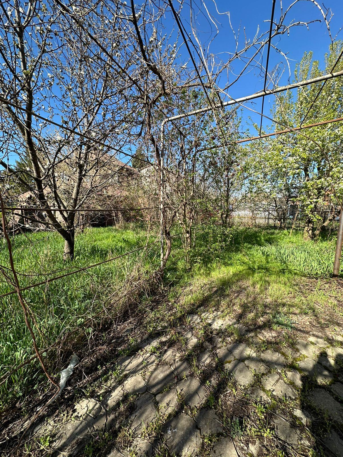 Фото №12: Дом 105 м² + 4.6 сот. - Дорожник, ул. Абрикосовая, 40