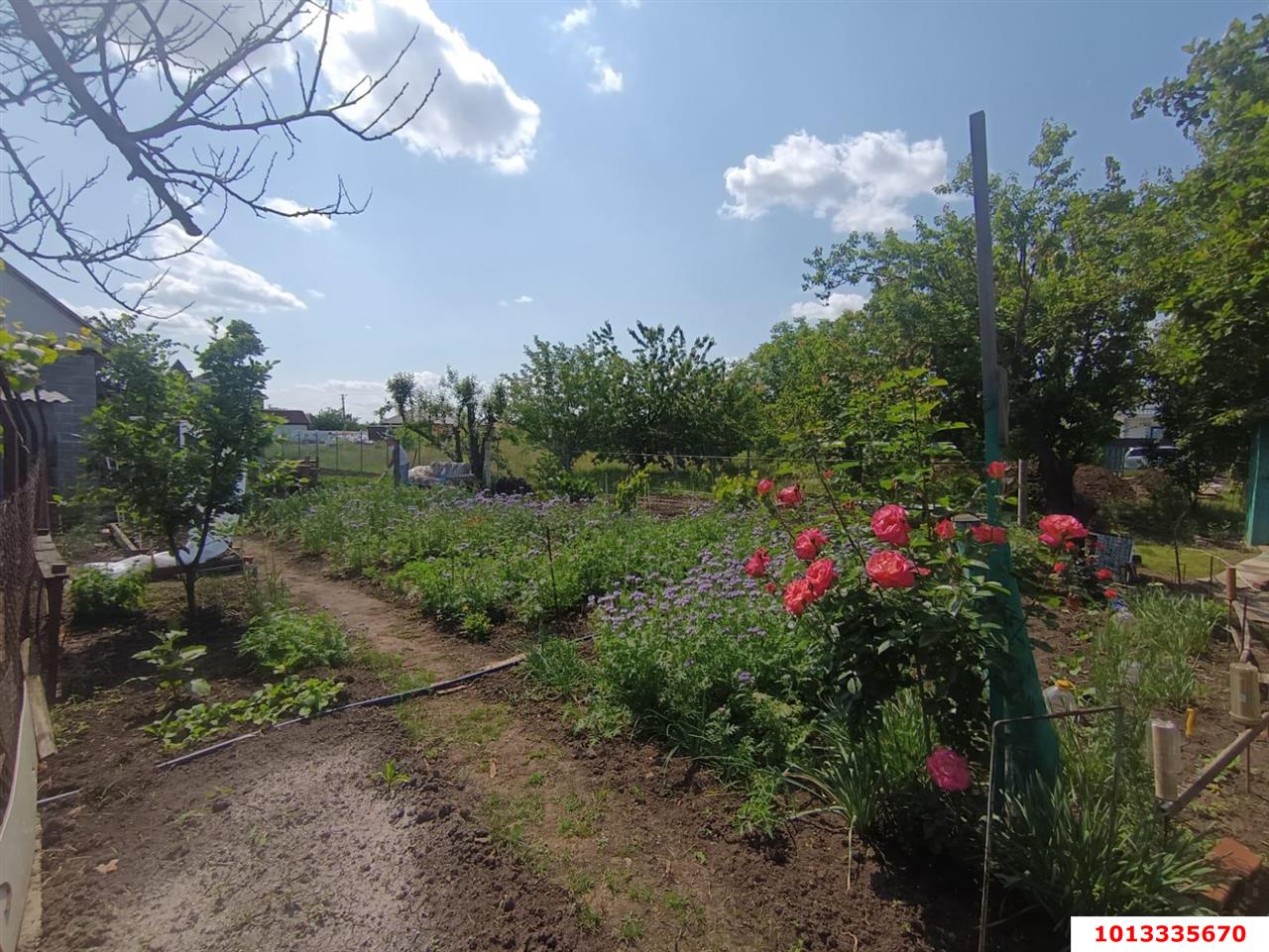 Фото №3: Дом 53 м² + 6 сот. - Кубанская Нива-2, мкр. Прикубанский внутригородской округ, ул. Летняя, 172А