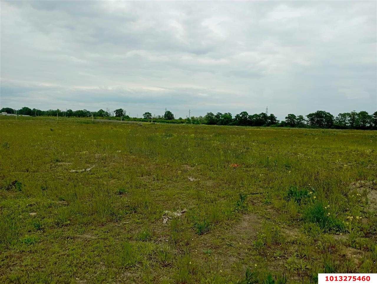 Фото №2: Земельный участок под ИЖС 4.8 сот. - Краснодар, коттеджный  Николино Парк, ул. Василия Некрасова, 5