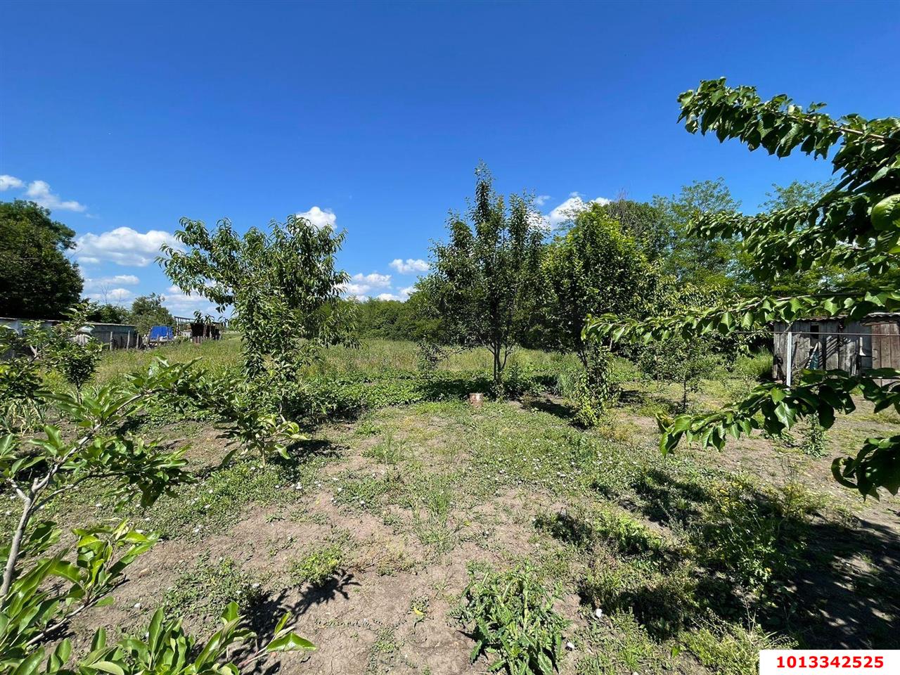 Фото №6: Дом 69 м² + 38.64 сот. - Карла Маркса, ул. Южная, 175