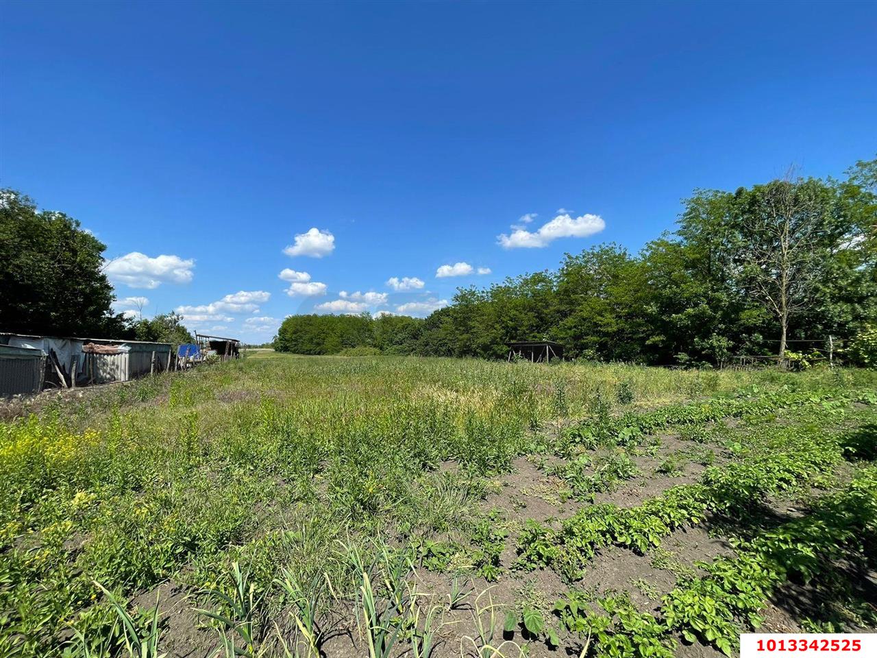 Фото №9: Дом 69 м² + 38.64 сот. - Карла Маркса, ул. Южная, 175