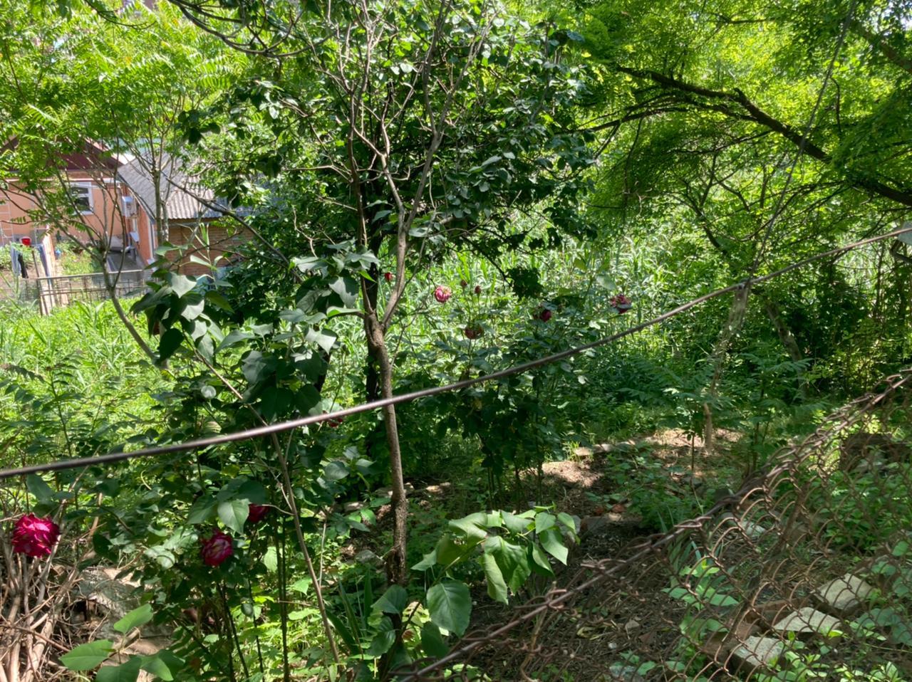 Фото №4: Дом 41 м² + 6.77 сот. - Краснодар, Центральный внутригородской округ, мкр. Дубинка, ул. Адыгейская набережная, 102