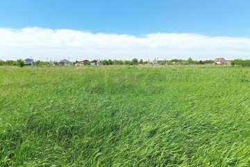 Фото №1: Земельный участок под ИЖС 55 сот. - Редант, 