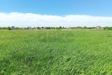 Фото №1: Земельный участок под ИЖС 55 сот. - Редант, 