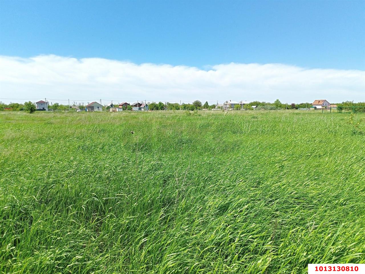 Фото №1: Земельный участок под ИЖС 55 сот. - Редант