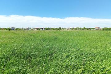 Фото №1: Земельный участок 55 сот. - Редант, 