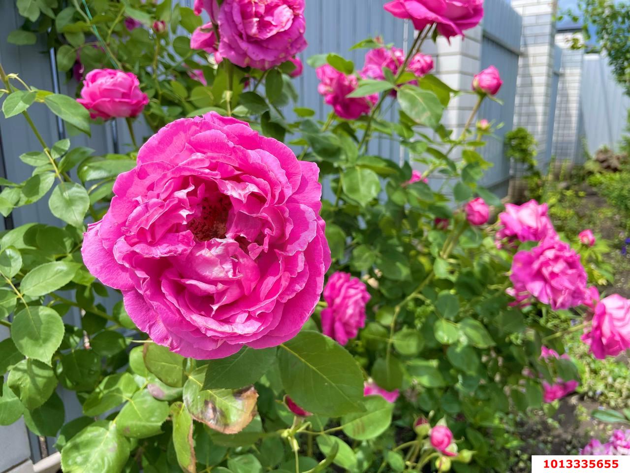 Фото №9: Дом 100 м² + 3 сот. - Индустриальный, мкр. Прикубанский внутригородской округ, ул. Агаджановой, 9/4