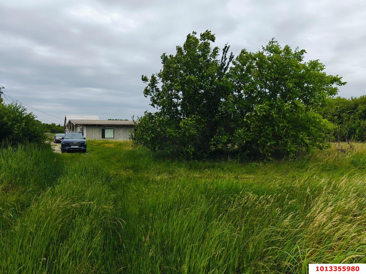 Фото №7: Земельный участок 8 сот. - садовое некоммерческое товарищество Авиатор, мкр. Прикубанский внутригородской округ, ул. Грушевая, 273