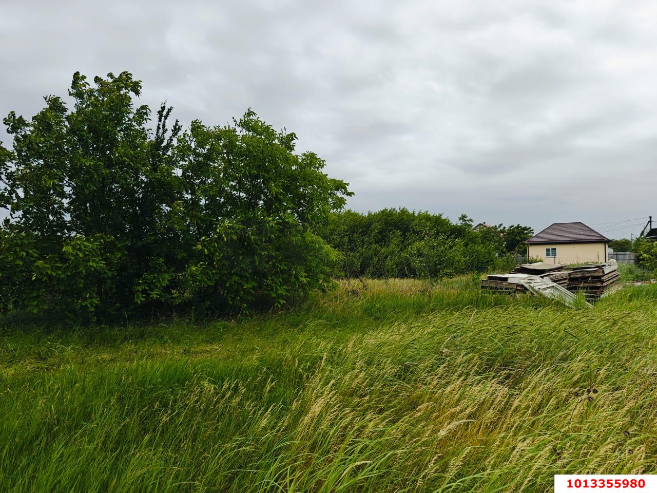 Фото №6: Земельный участок 8 сот. - садовое некоммерческое товарищество Авиатор, мкр. Прикубанский внутригородской округ, ул. Грушевая, 273