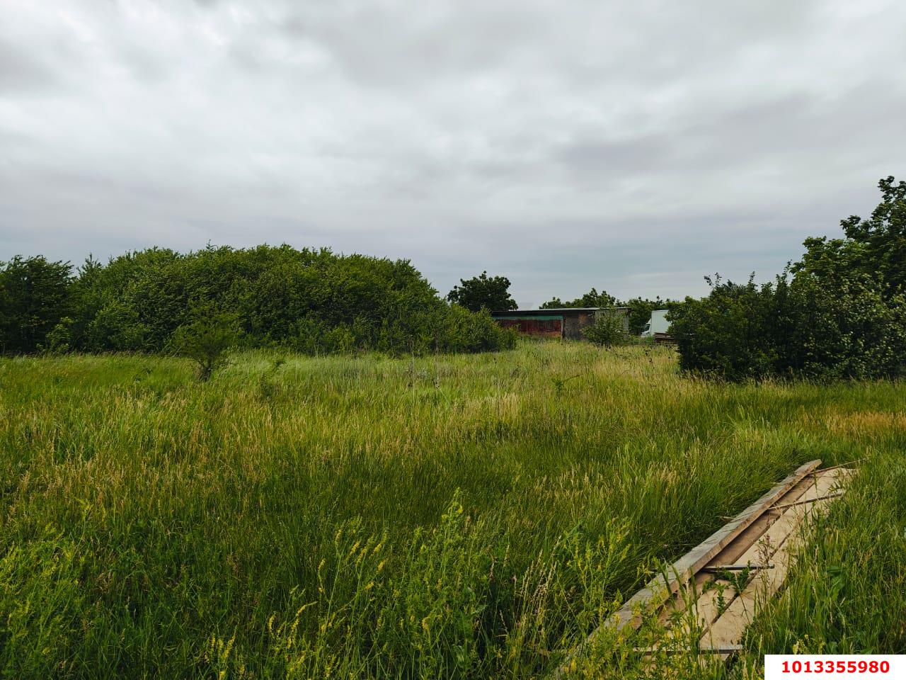 Фото №4: Земельный участок 8 сот. - садовое некоммерческое товарищество Авиатор, мкр. Прикубанский внутригородской округ, ул. Грушевая, 273